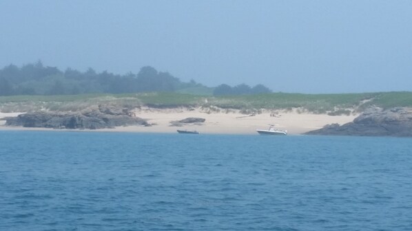 Playa en los alrededores 