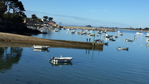 Un port de plaisance où de nombreux bateaux sont amarrés, l’eau est calme et le ciel est dégagé.