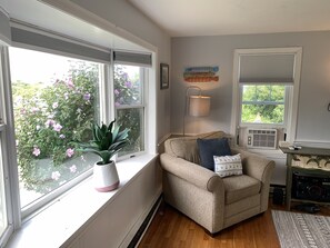TV, DVD player, books, stereo
