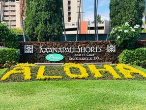 Terrain de l’hébergement 