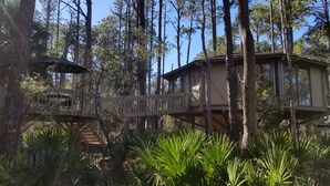 Una casa sull'albero con una terrazza in legno e una scala che vi conduce, circondata da alti pini e vegetazione verde.
