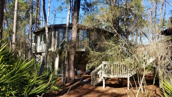 Exterior - Cozy Treehouse Close to Harbour Town and HHI Beaches (Hilton Head Island)