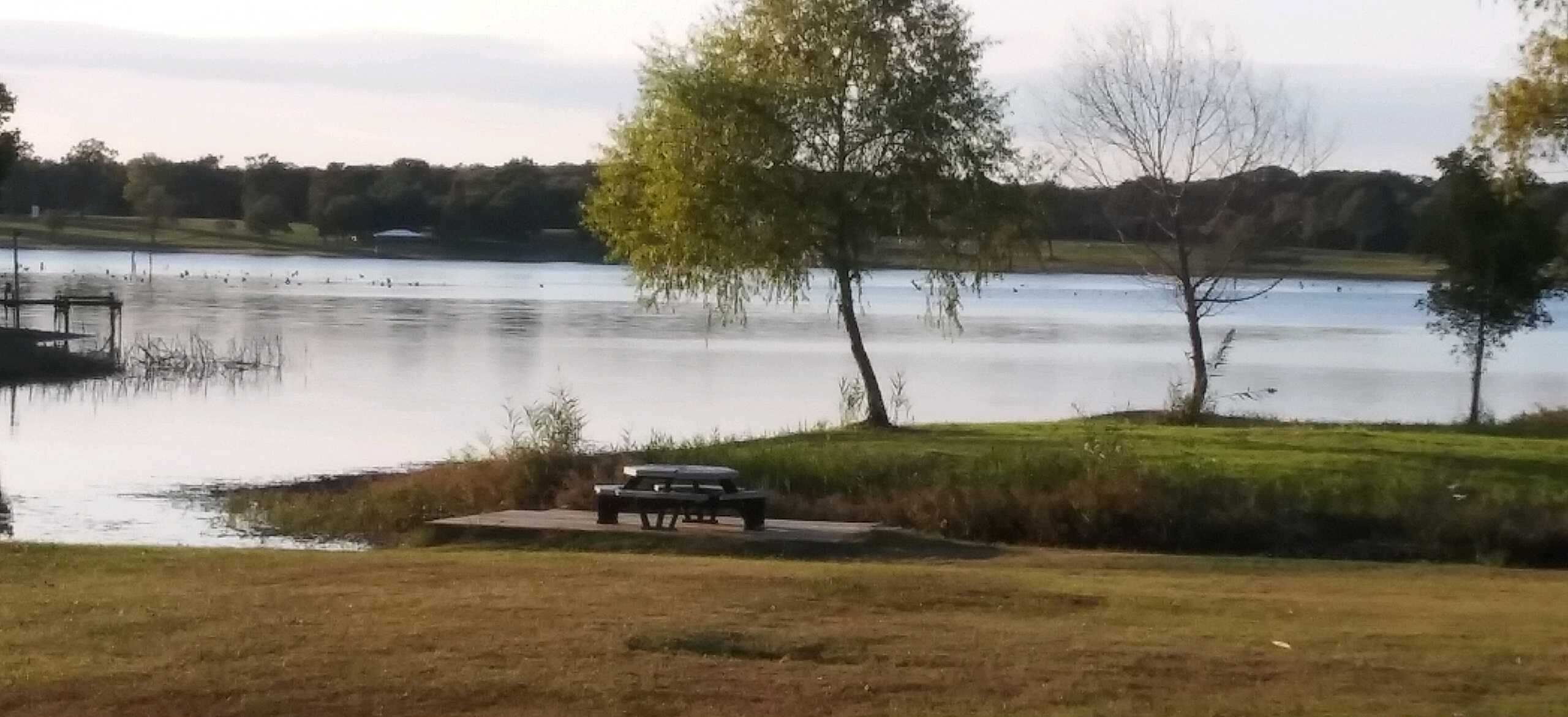 A lakeside view with a picnic table and benches, surrounded by grassy areas and trees.