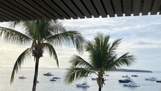 Una spiaggia con palme e yacht nell'acqua.