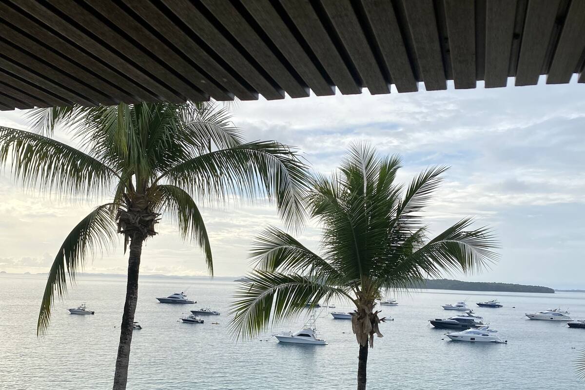 Une plage bordée de palmiers, avec des yachts amarrés dans l’eau.