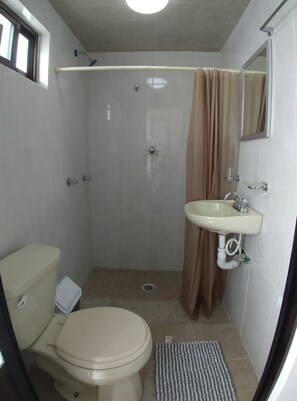 Shower, free toiletries, hair dryer, bidet