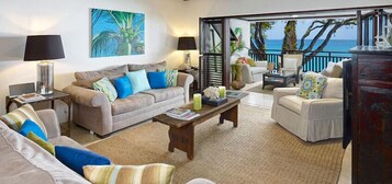 TV, DVD player, video library, stereo