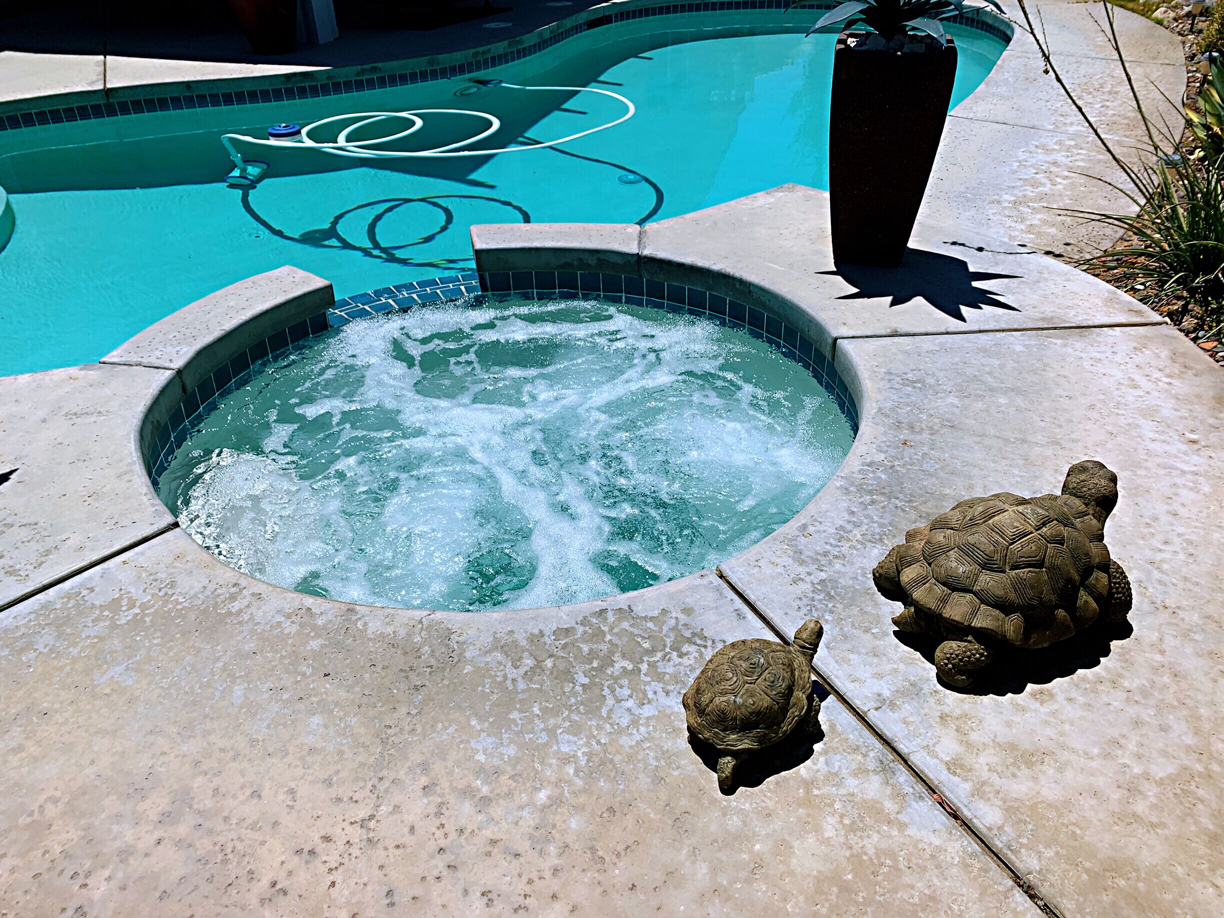 A hot tub with two turtle statues and a pool with a tiled design.
