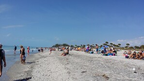 Sun-loungers, beach towels