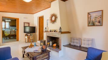 Smart TV, DVD player, books, video library