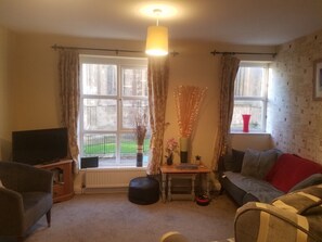 智能電視、DVD 播放機、書籍、音樂庫