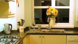 Une cuisine compacte équipée d’une cuisinière à gaz, d’un évier, d’un lave-linge et d’une fenêtre agrémentée d’un vase de fleurs.