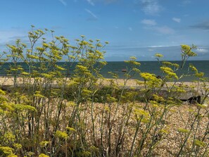 In Strandnähe, Liegestühle