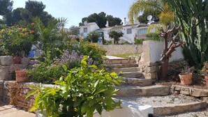 Een tuin met stenen traptreden, bloempotten en diverse beplanting.