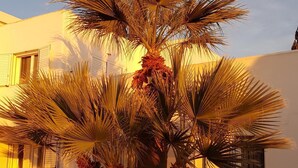 Eine Palme in einem Blumentopf vor einem Gebäude.