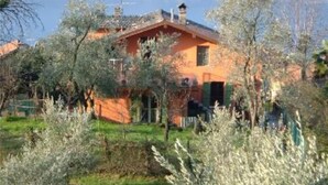 Uma casa com telhado inclinado, rodeada por oliveiras e um cercado.