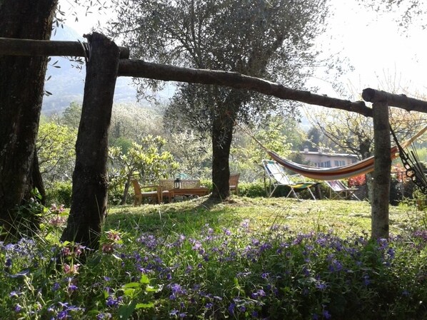 Parco della struttura