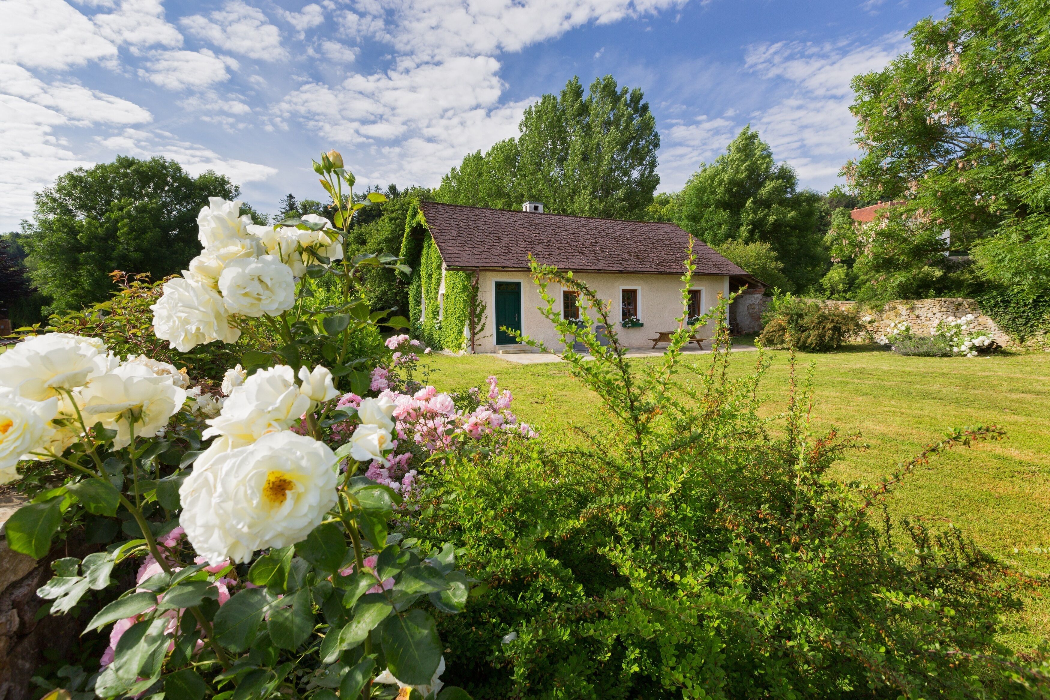 Loving cottage in a quiet area