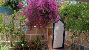A garden with a variety of plants and a small gate. - Stylish Living, Ocean Views & Poolside Bliss in Chayofa (Chayofa)