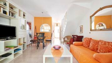 TV, books, music library, stereo