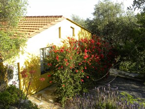 Property grounds - Holidayhouse with sea view in stylish ambiance (Imperia)