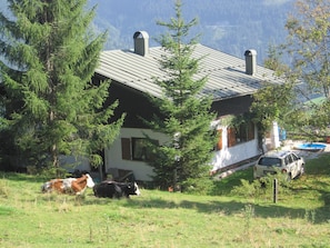 Extérieur