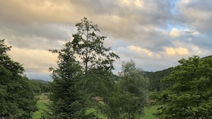 Un paysage rural avec un chemin de terre, des arbres et un ciel nuageux.
