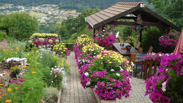 A garden with a wooden pergola and a brick pathway leading to a seating area with a table and chairs. - GITE upstairs in the owner's house (Haselbourg)