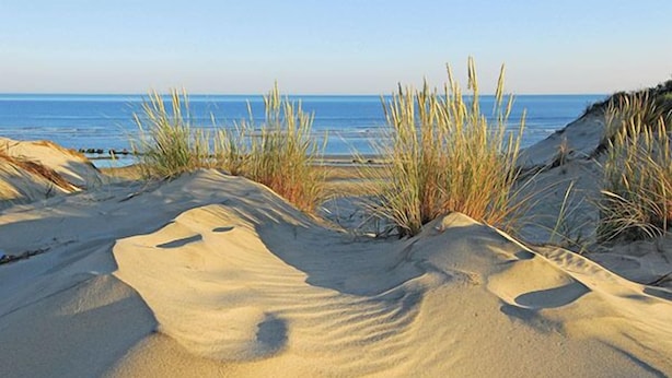 A sandy beach with dunes and sparse vegetation. - EXCEPTIONAL, PEACEFUL VILLA WITH HEATED POOL IN LÈGE CAP-FERRET (Lège-Cap-Ferret)