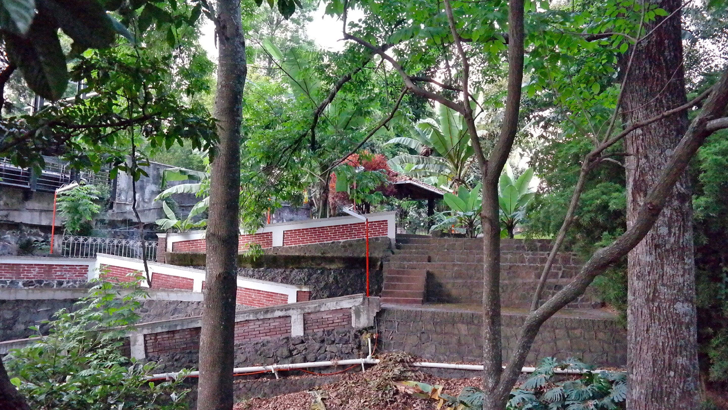 A multi-level outdoor staircase surrounded by dense foliage, with a brick wall and metal railings.