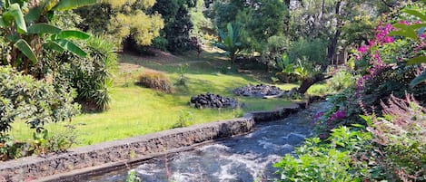 Jardin