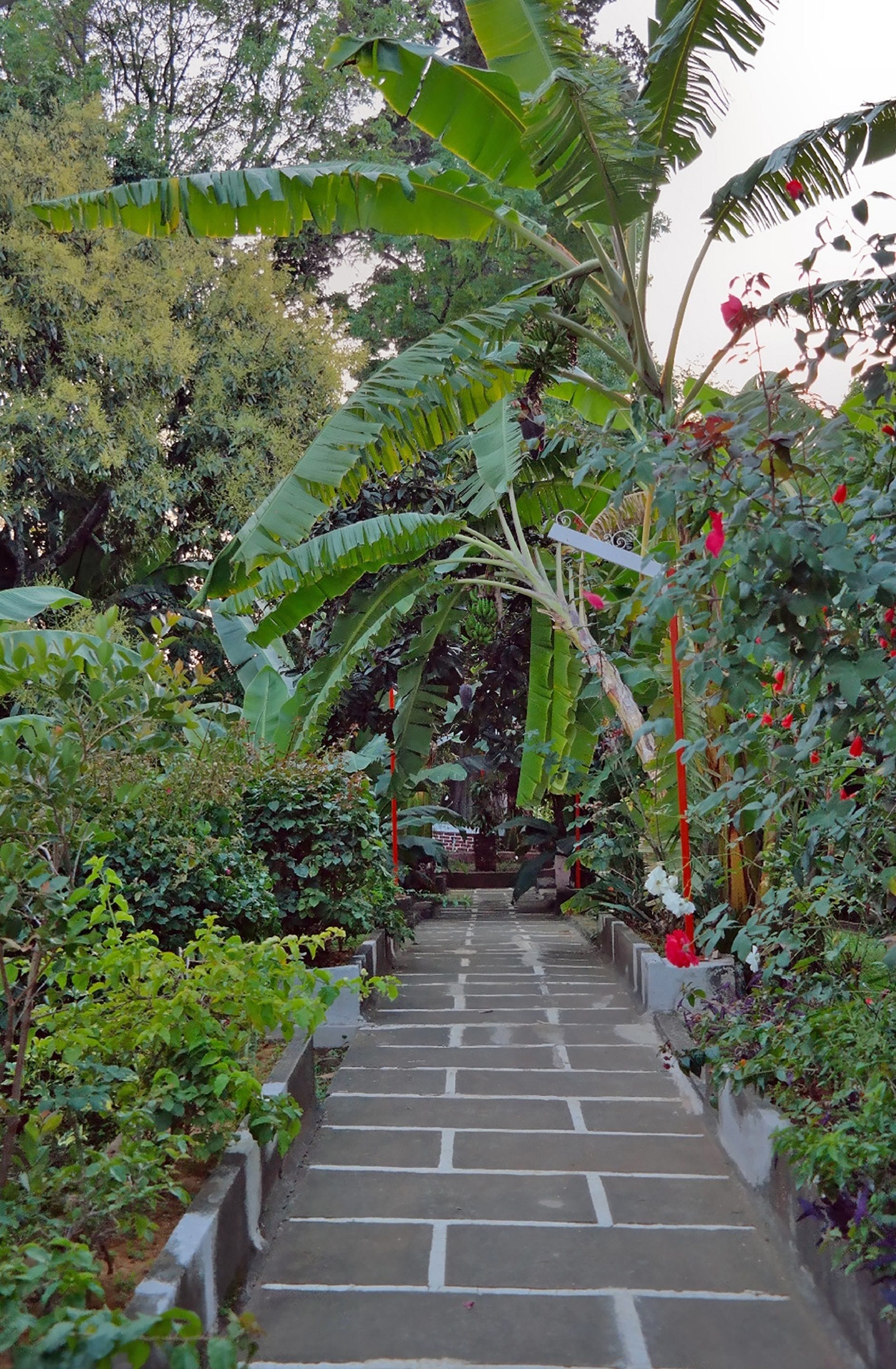 Jardín