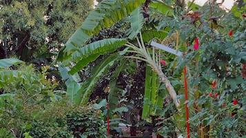 Jardín