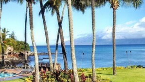 Un complexe hôtelier tropical doté de palmiers, d’une piscine et offrant une vue sur l’océan.