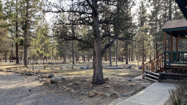 A forested area with a wooden structure, possibly a lodge or cabin, surrounded by trees and rocks. - Bellinger Cabin, wooded getaway near Sisters, Central Oregon (Sisters)