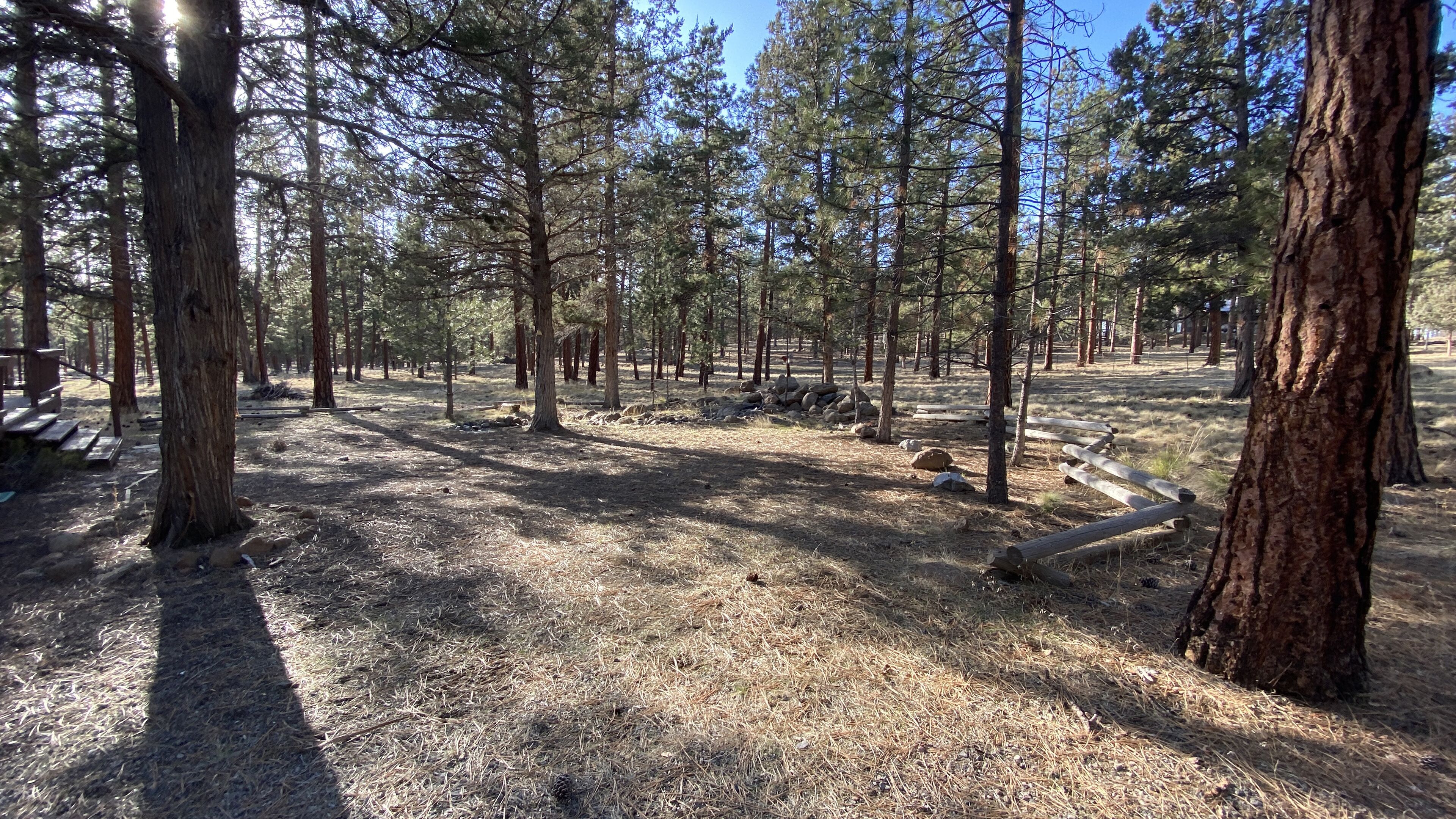 A forested campground with pine trees, a dirt ground, and wooden benches.