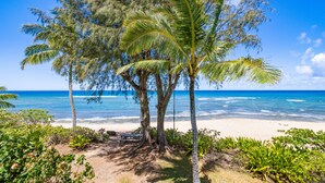 Ein Strand mit Palmen, sandigem Ufer und dem Meer.
