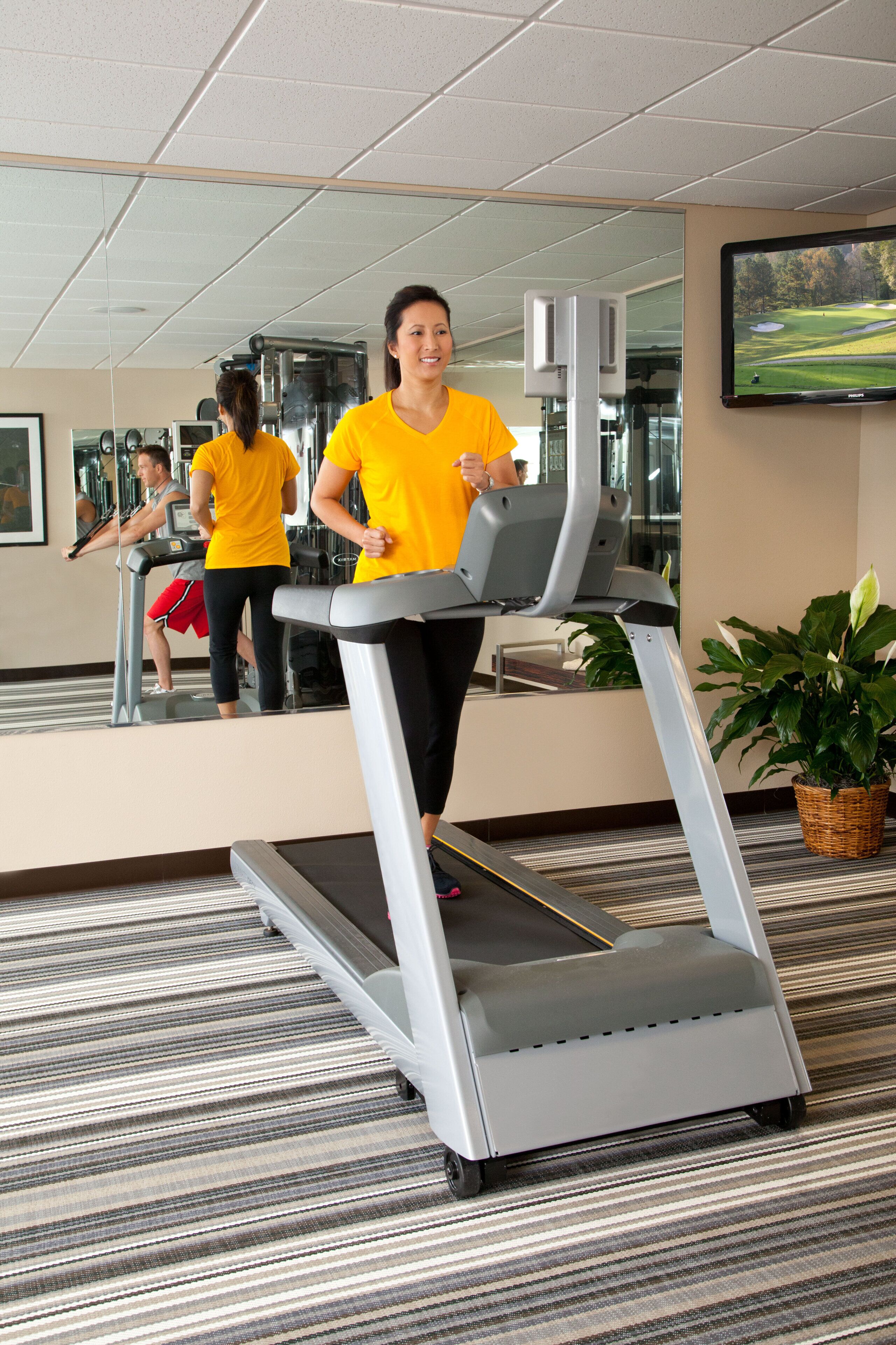 Un gimnasio con cintas de correr, equipo de ejercicio y una pantalla de televisión que muestra un campo de golf.