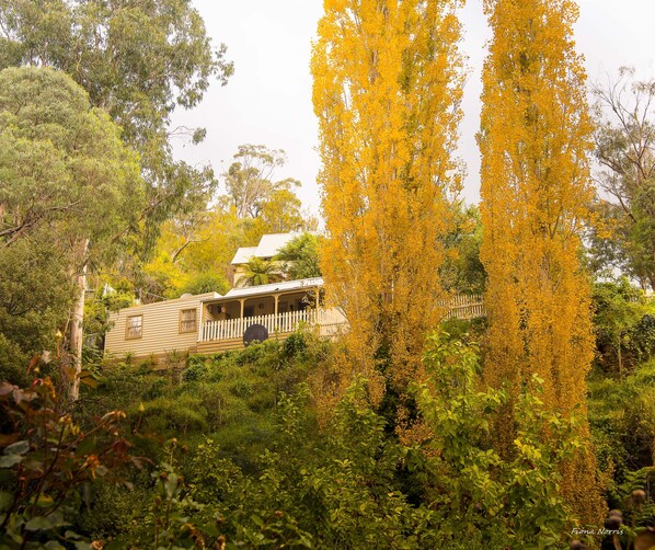 2 Bedroom Cottage | Terrace/patio