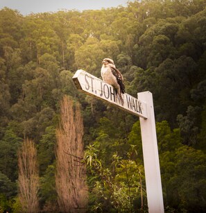 Voorkant van accommodatie