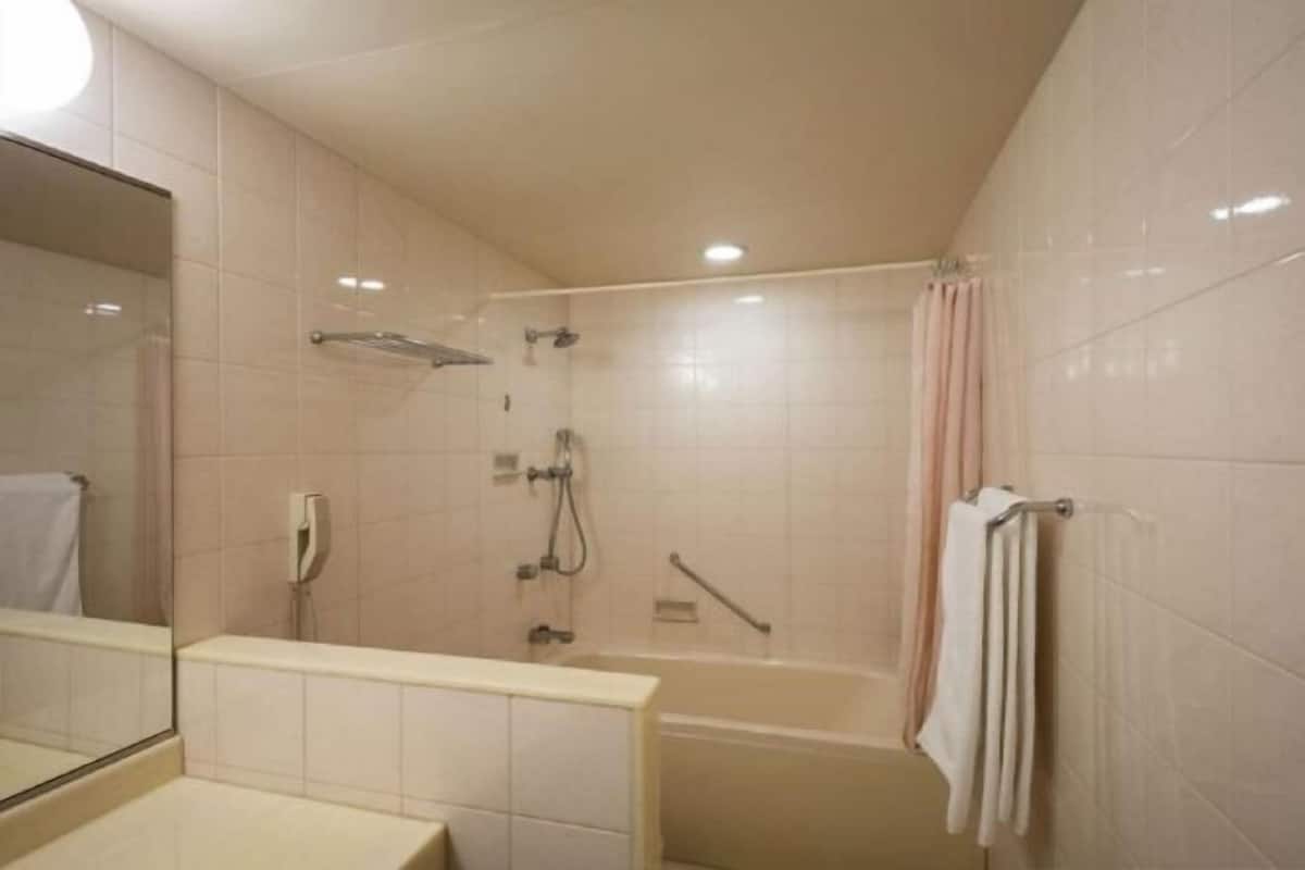 Separate tub and shower, free toiletries, hair dryer, slippers