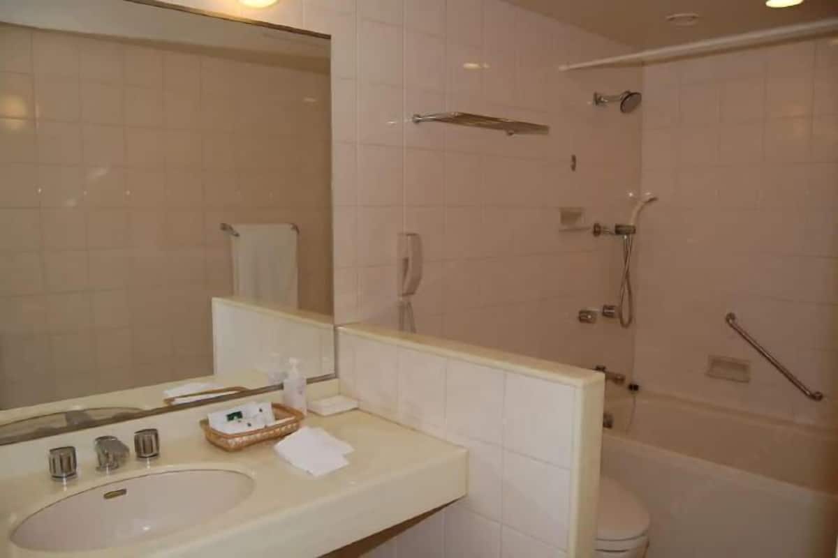 Bathroom | Separate tub and shower, free toiletries, hair dryer, slippers