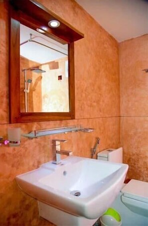 Habitación doble Deluxe | Baño | Regadera, amenidades de baño gratuitas, toallas 