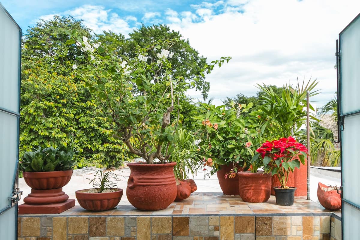 Suite monolocale familiare, 1 letto queen con divano letto, non fumatori | Terrazza/patio