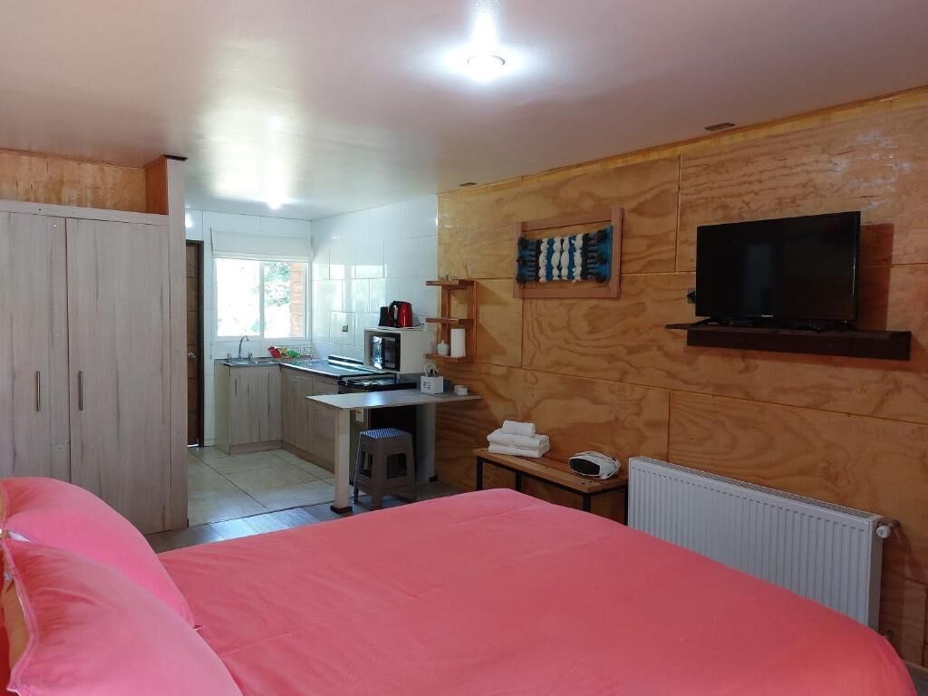 Una habitación con cama, escritorio, televisor y kitchenette.