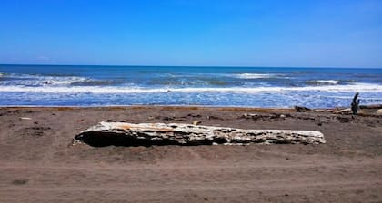 Casa Turtle Bogue - Hostel