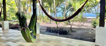 Casa Turtle Bogue - Hostel