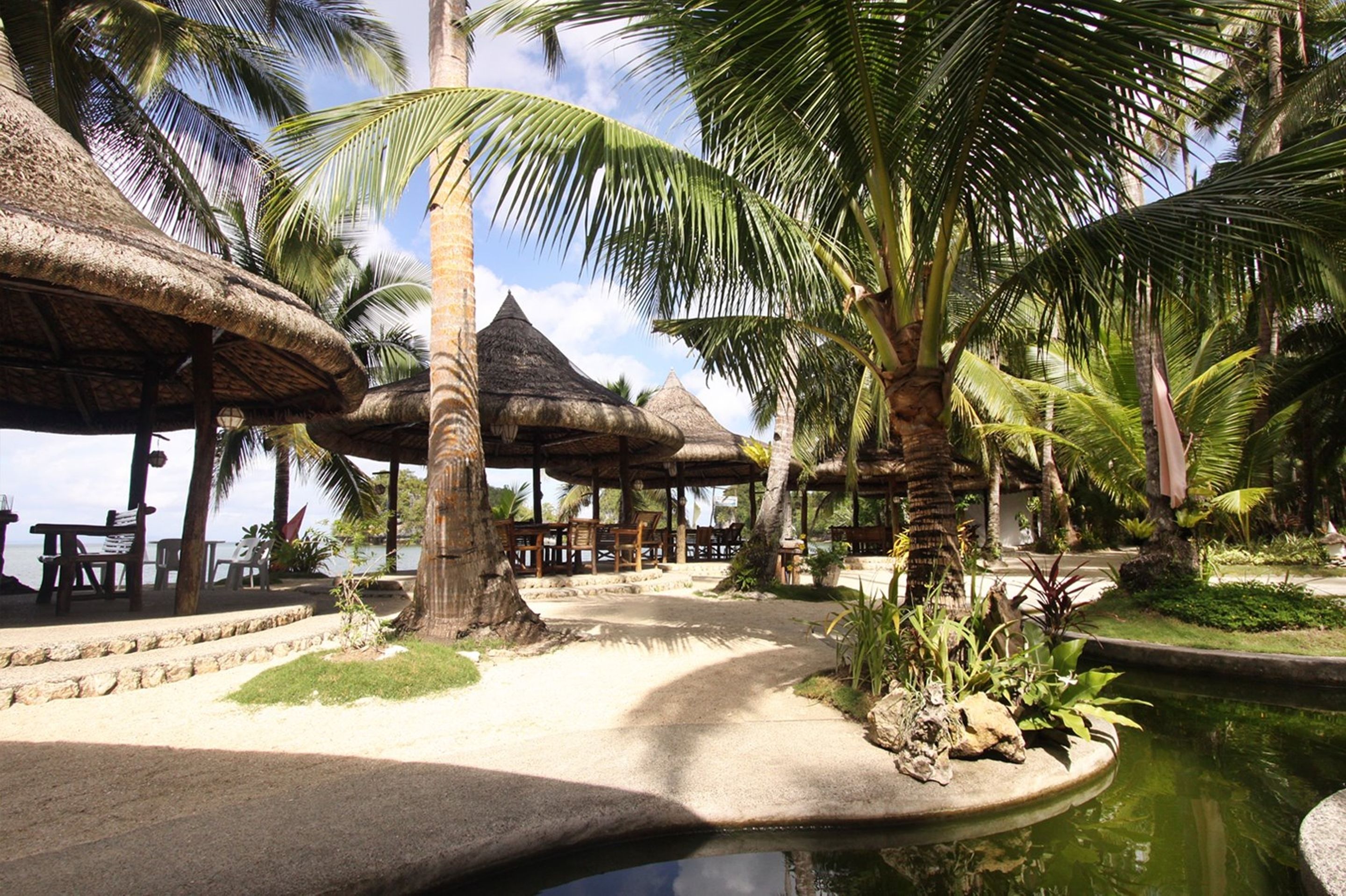 A tropical resort with thatched-roof structures, palm trees, and a small pond.