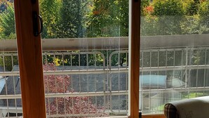 A room with a large window offering a view of a hillside with autumn foliage. A wooden table with a potted plant is in the foreground, and a patterned rug is on the floor. - Ski-on/Off, Slope Views, Mountainside Top Floor, Vaulted Ceilings, Gas Fireplace (Warren)