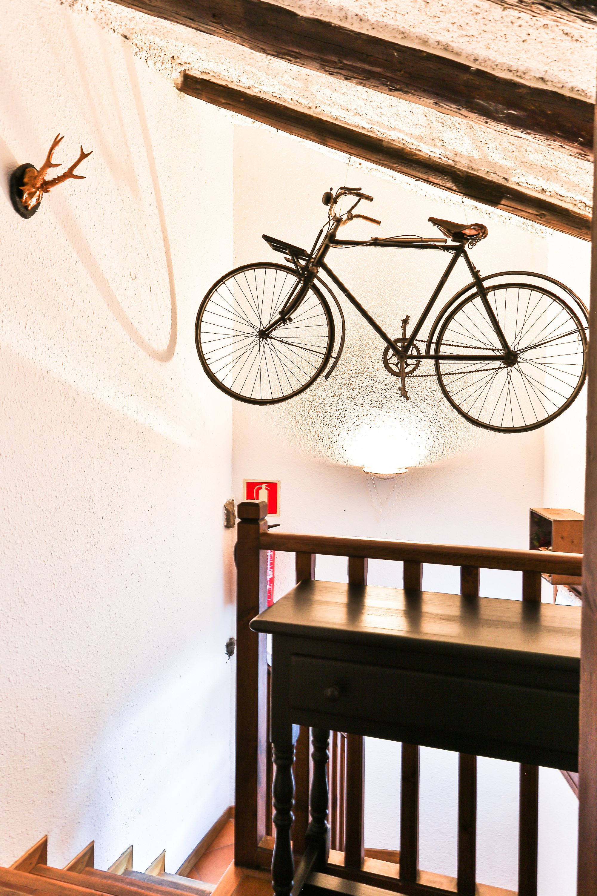 Foto - Hostal Cisco de Sans